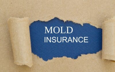 Mold Damage Insurance Coverage – Personal & Commercial