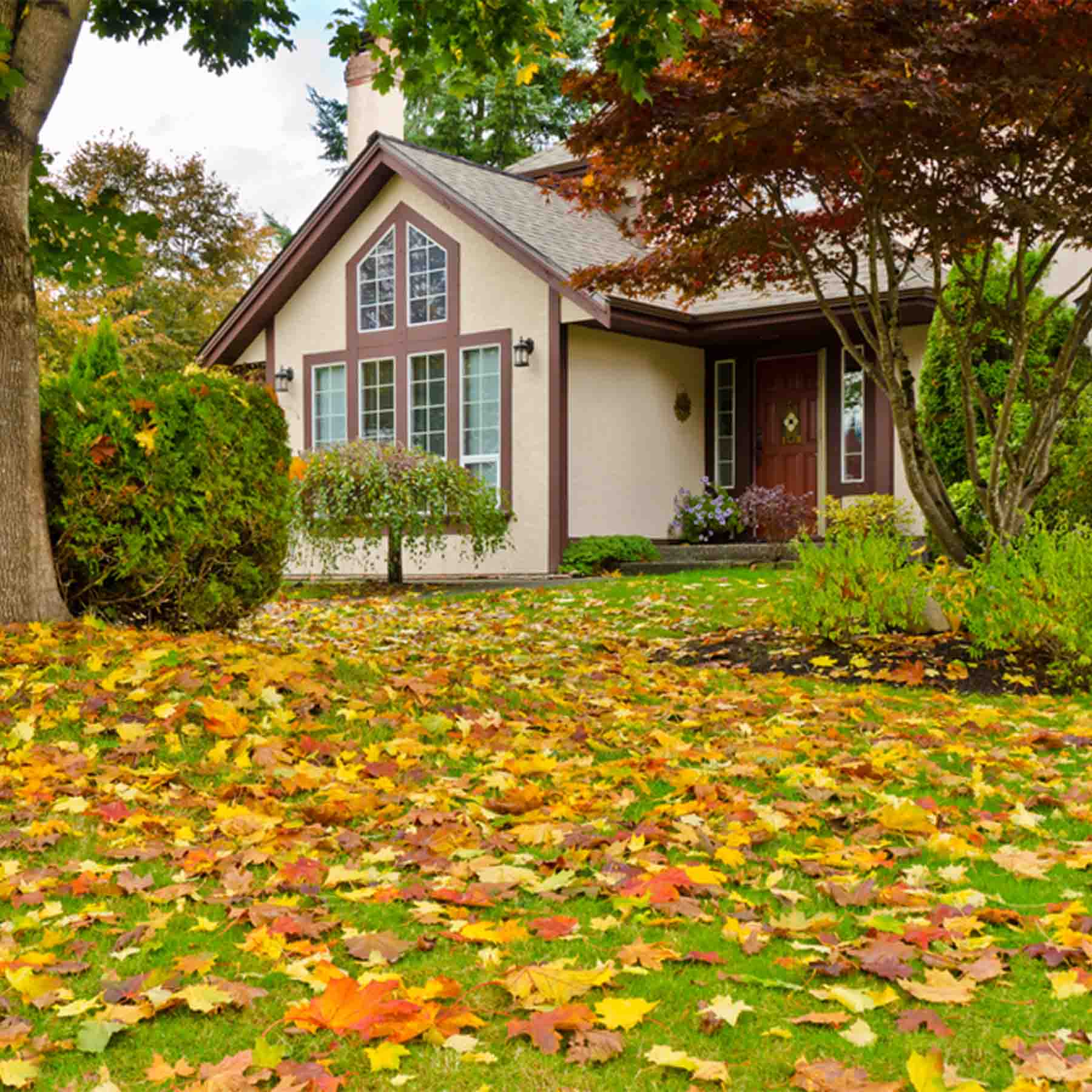 Home Insurance