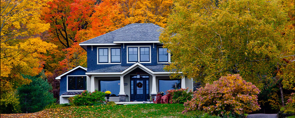 Home Insurance